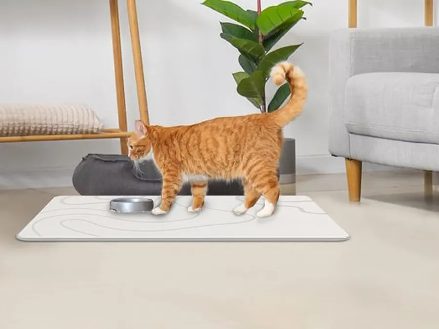 Spills Under the Pet Bowl: ZIKIBL stone bath mat